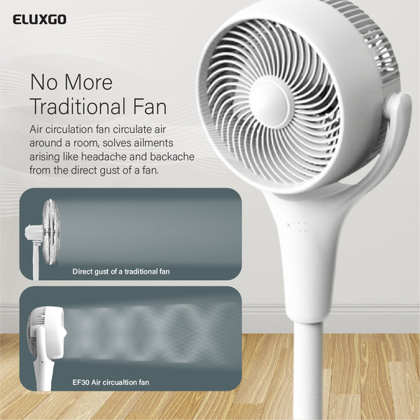 EF30 Air Circulation Stand Fan
